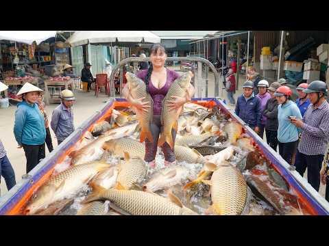 Harvesting Lots of Big Fish: Hauling In A Fishing Net – Truck Transport Many Fish To Sell At Market