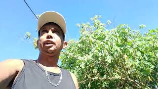 Saiu da mexida tricando vou responder os escritos assim vejam 