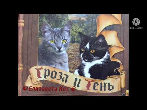 Коты Воители. Гроза и Тень Пролог.