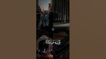 تلاوة خاشعة جميلة بصوت ياسر الدوسري ارح سمعك ♡ #آيات_قرآنيه #ياسر_الدوسري