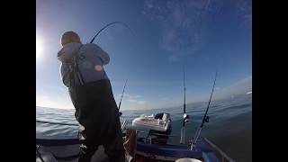 Boat fishing eastern solent
