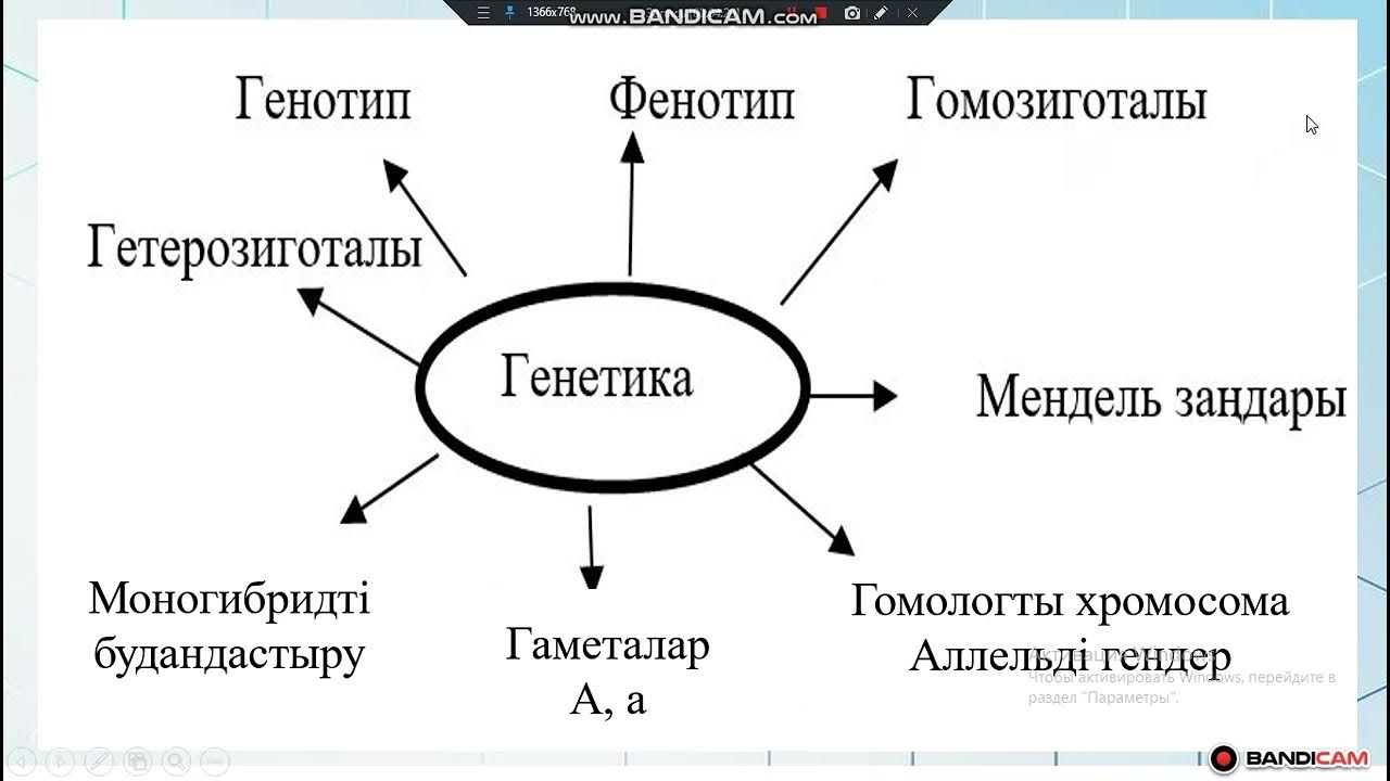 Гинекологқа тыңшылық