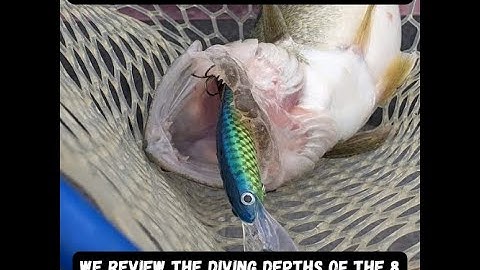 Deep Diving Cranks - How Deep Do They Go?