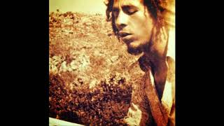Bob Marley - Revolution (8D AUDIO) 🎧