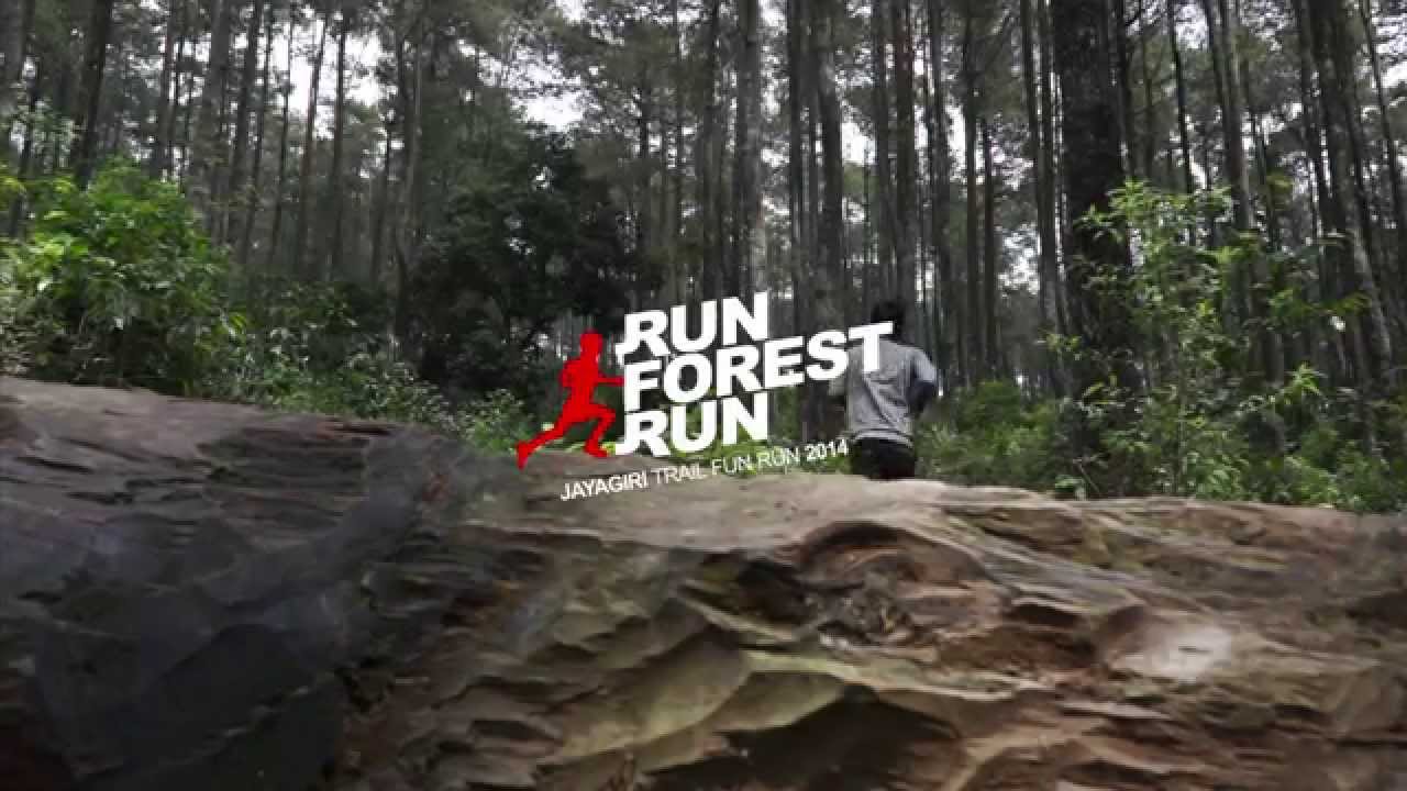Fun Forest Run Fun Forest Run