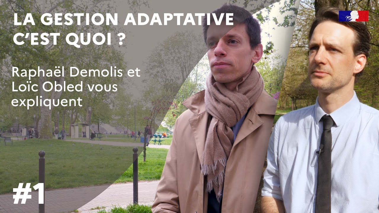 La gestion adaptative, c’est quoi ? - YouTube