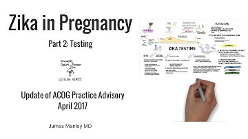 Zika in Pregnancy Part 2; DE OBGYN Resident Lecture Series with James Manley