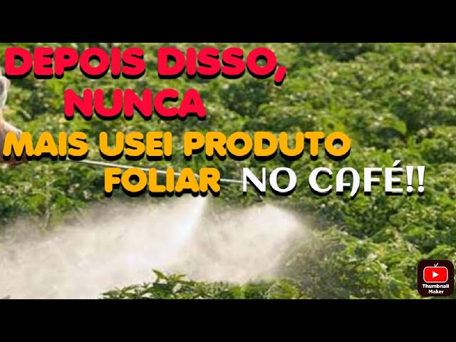 Projeto de Café Conilon Nutrirrigado por Gotejamento Enterrado na