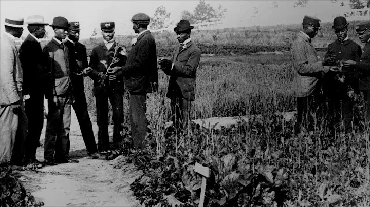 George Washington Carver Improved Agricultural Pra...