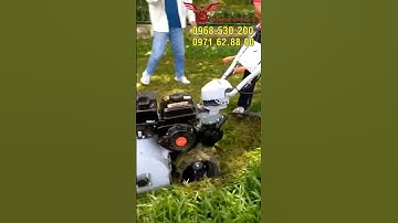 Review máy cắt cỏ trục băm đỉnh của chóp #shorts #vinmax