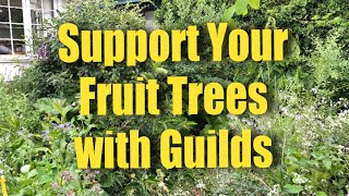 Function AND Beauty with Fruit Tree Guilds!