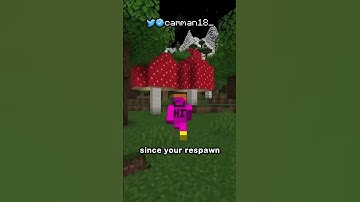 minecraft end dimension trap. (softlock)