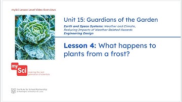 Unit 15 Lesson 4 Video