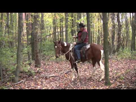 Fancy's first trail ride - SCEA Rescue