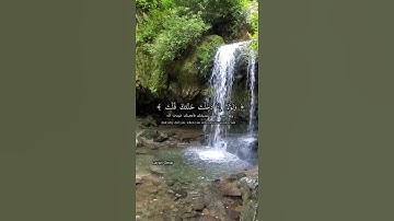 وَلَوْلَآ إِذْ دَخَلْتَ جَنَّتَكَ (٣٩) | سورة الكهف | رعد محمد الكردي ۚ