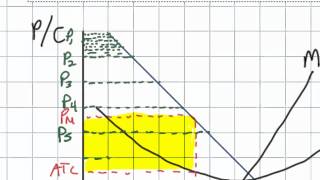 Price Discrimination and its Effect on Efficiency in a Monopolistic Market