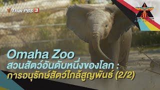 Omaha Zoo : การอนุรักษ์สัตว์ใกล้สูญพันธ์ (2/2) | A Life on the Road ถนน คน ชีวิต