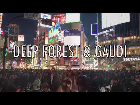 DEEP FOREST & GAUDI TAIYO