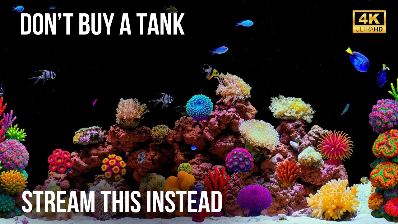 🐠 12 Часов Уютного Аквариума 4K | Природные Звуки Воды и Красота Коралов