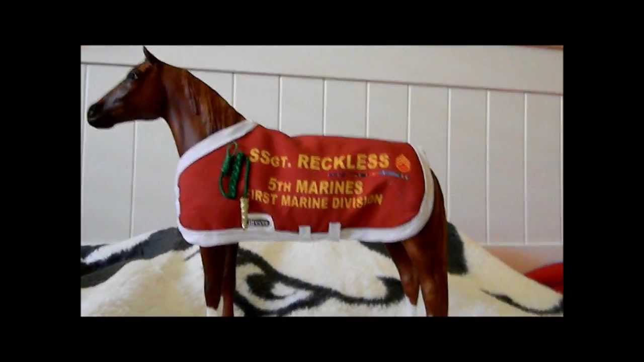 Breyer ReviewSgt Reckless YouTube