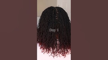 6 Months of TEXTURE! || DIY Microloc Journey  #microlocs #diymicrolocs #microlocjourney
