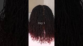 6 Months of TEXTURE! || DIY Microloc Journey  #microlocs #diymicrolocs #microlocjourney