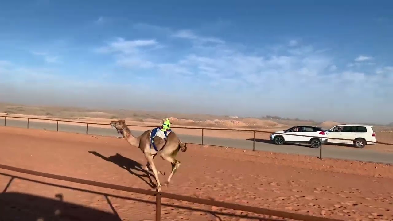 عزام/ سعد حمدان الشمري