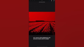 How to Make a 3-Color Risograph in Procreate