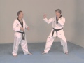 Taekwondo combat  technique de comptiton
