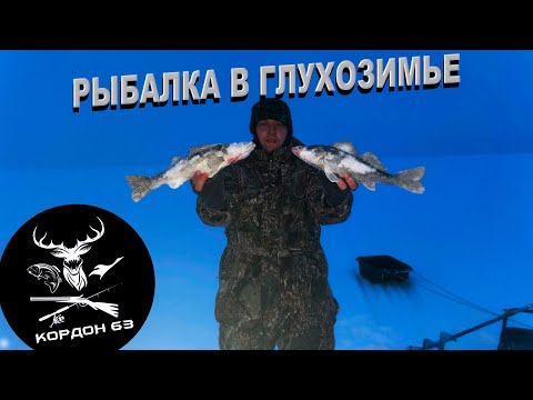 Ловля берша на тюльку| Ловля судака на Волге Куйбышевское водохранилище