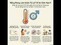 Vì Sao Tỷ Lệ Sinh Bé Trai Lại Giảm Khi Nhiệt Nhiệt Độ Tăng ? 🔥⚖️