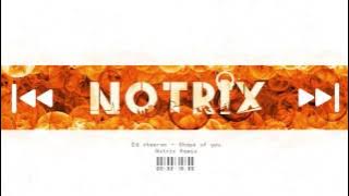 Ed sheeran - Shape of you (Notrix remix)