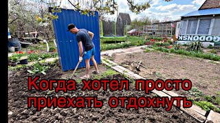 видео: «ОТДЫХ»НА ДАЧЕ! КОГДА ХОТЕЛ ПРОСТО ОТДОХНУТЬ И НИЧЕГО НЕ ДЕЛАТЬ! картинка: «ОТДЫХ»НА ДАЧЕ! КОГДА ХОТЕЛ ПРОСТО ОТДОХНУТЬ И НИЧЕГО НЕ ДЕЛАТЬ!