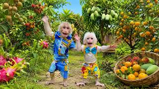 Cute Monkeys Bibi & Lala Having Fun at Their Old Countryside Home