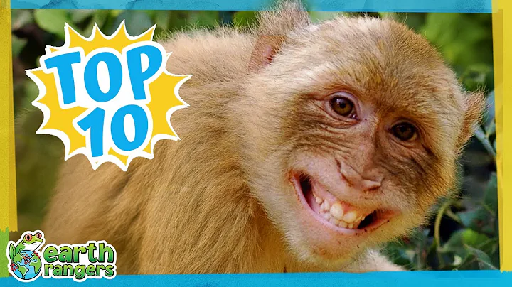 TOP 10 Smiling Animals | Earth Rangers