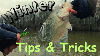 How to start Catching Winter Crappie with jigs and Bobbers - All in One Video by Fish Yanker 15,826 views 4 months ago 31 minutes