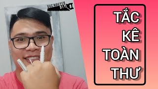 8 các loại tắc kê nhựa