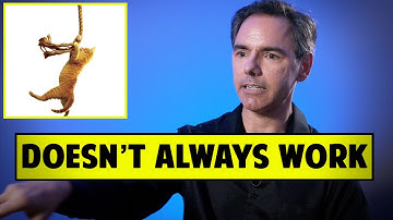 The Big Problem With Save The Cat Is That It Doesn