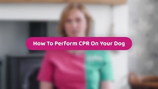 How To Perform CPR On Your Dog | Pet Health Advice by PDSA 19,452 views 1 year ago 2 minutes, 9 seconds