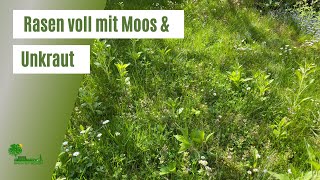 Unkraut und Moos im Rasen entfernen | Rasen vertikutieren, aerifizieren, sanden und nachsäen