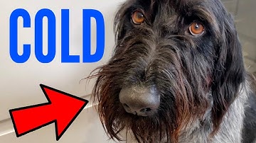 Warming this little fellow up WITH A SMART RADIATOR FROM SCREWFIX!