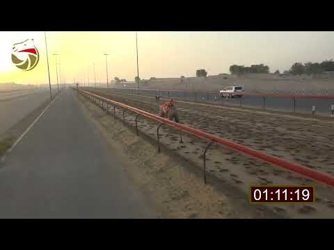 سباق الفطامين المرموم 6 8 2022 ش12 الفارس ل حميد مطوع مشعاب الظاهري 2 09