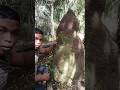 petualangan mencari ratu rayap/ratu anai anai di kebon sawit😁😁😁