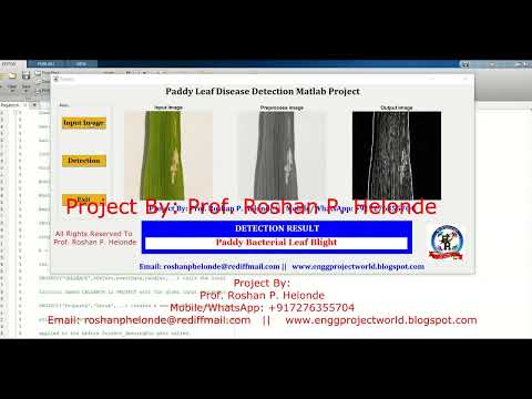 Paddy Leaf Disease Detection Using Image Processing With Source Code Matlab Project Paddy Disease