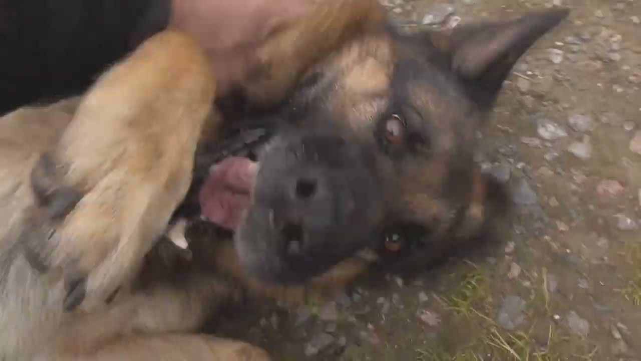 Оправка КМ5 - YouTube