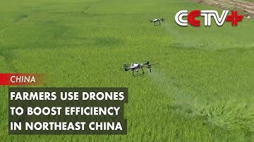 Farmers Use Drones to Boost Efficiency in Northeast China