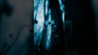 I Dont Wanna To Be Alone