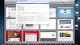 MDI PREP Genetics part 2