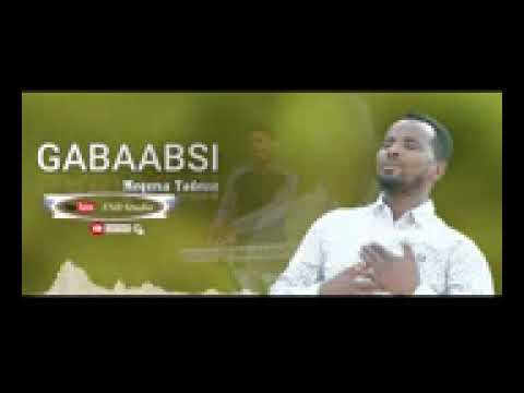 Gabaabsi Megersa Tadesse Faarfanna Afaan Oromoo