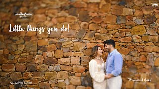 Little things you do | Priyanka & Anmol | WeddingNama